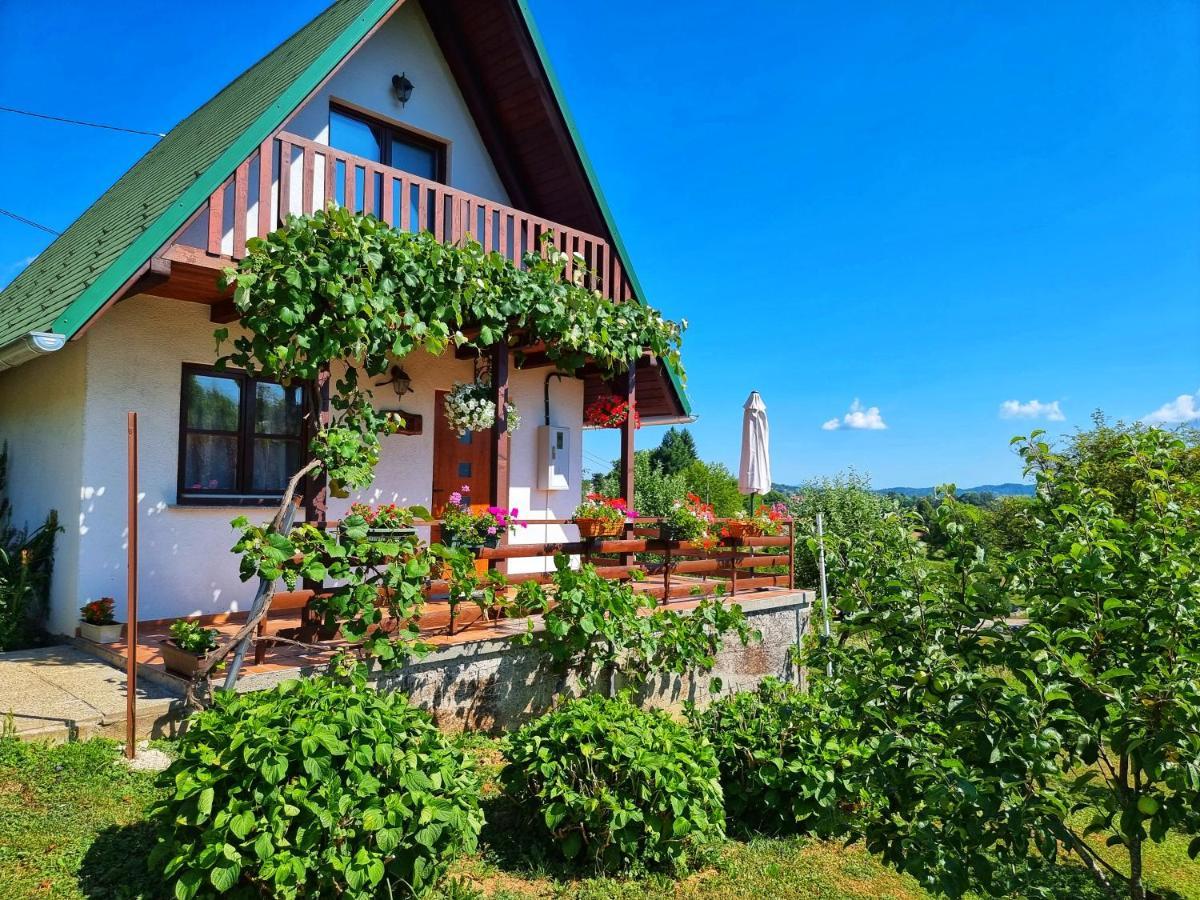 Guesthouse Mreznica- Mreznicka Idila Resort Galovic-Selo Zewnętrze zdjęcie